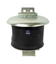 Coussin d'air IVECO - DT SPARE PARTS