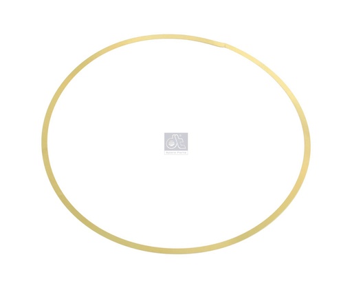 [DTS 7.54511] Rondelle de compensation IVECO - DT SPARE PARTS