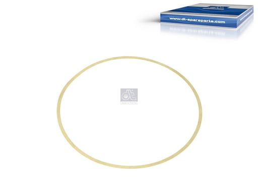 [DTS 7.54509] Rondelle de compensation IVECO - DT SPARE PARTS