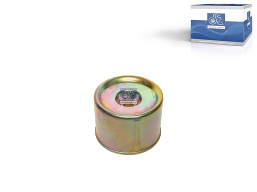 [DTS 10.16077] Piston BPW - DT SPARE PARTS