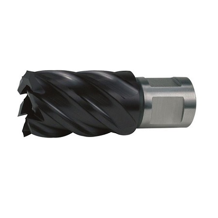 Strawberry HSS tialn attaching weldon 30 mm - FORCH
