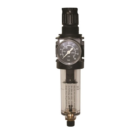 [FOR 3935 38 1] Regulator filter - FORCH