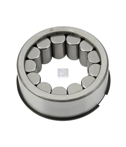 [DTS 1.17110] Roulement à rouleaux cylindre SCANIA - DT SPARE PARTS