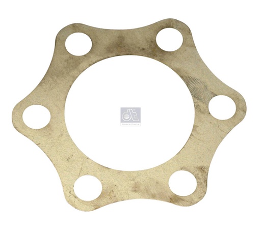 [DTS 1.24211] Lamelle SCANIA - DT SPARE PARTS