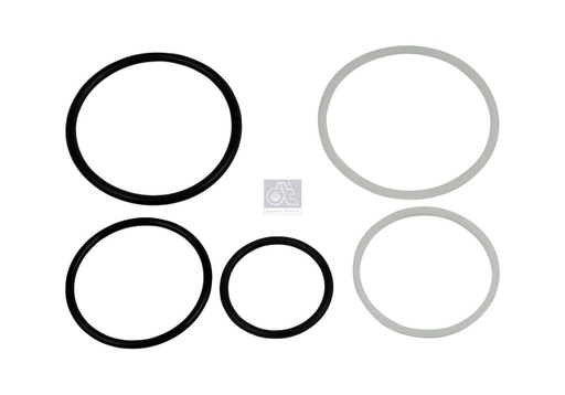 [DTS 1.31281] Kit de joints toriques SCANIA - DT SPARE PARTS