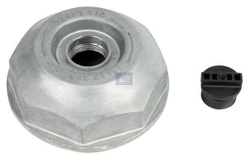 [DTS 2.96225] Chapeau de moyeu VOLVO - DT SPARE PARTS