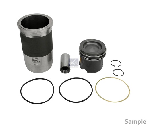 [DTS 6.91162] Cylindrée RENAULT - DT SPARE PARTS