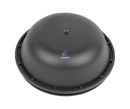 [DTS 6.54021] Chapeau de moyeu RENAULT - DT SPARE PARTS
