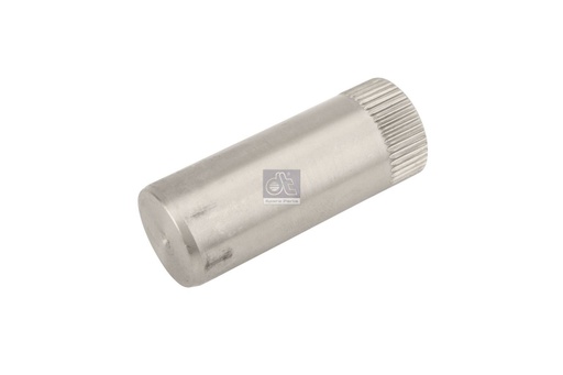 [DTS 5.21141] Axe de mâchoire de frein DAF - DT SPARE PARTS