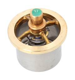 [DTS 6.30308] Thermostat - DT SPARE PARTS