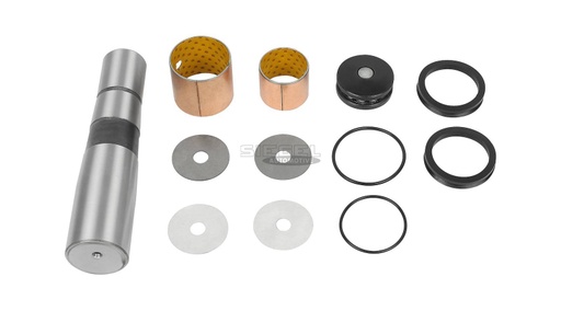 [DTS SA8J0009] Kit pivot de fusée de roue DAF - DT SPARE PARTS