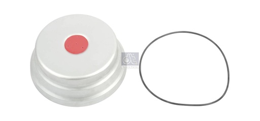 [DTS 10.30522] Chapeau de moyeu SAF - DT SPARE PARTS
