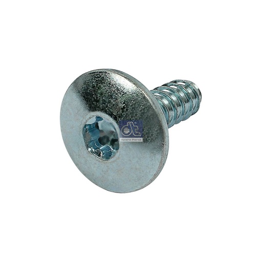 [DTS 7.21135] Vis IVECO - DT SPARE PARTS